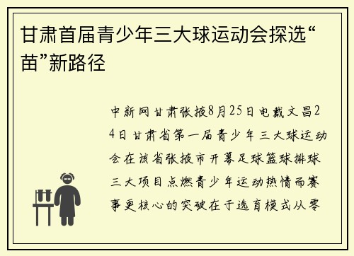 甘肃首届青少年三大球运动会探选“苗”新路径